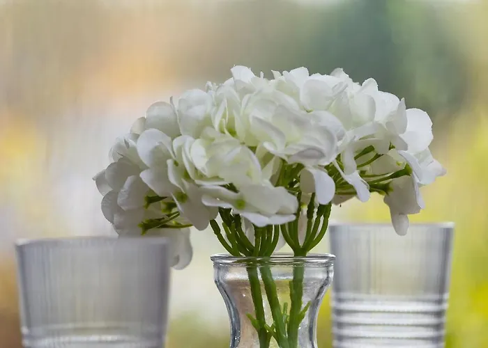 Sarnia Hq Container House In With Garden And Air Conditioning By Renters * بييلسكو بياوا