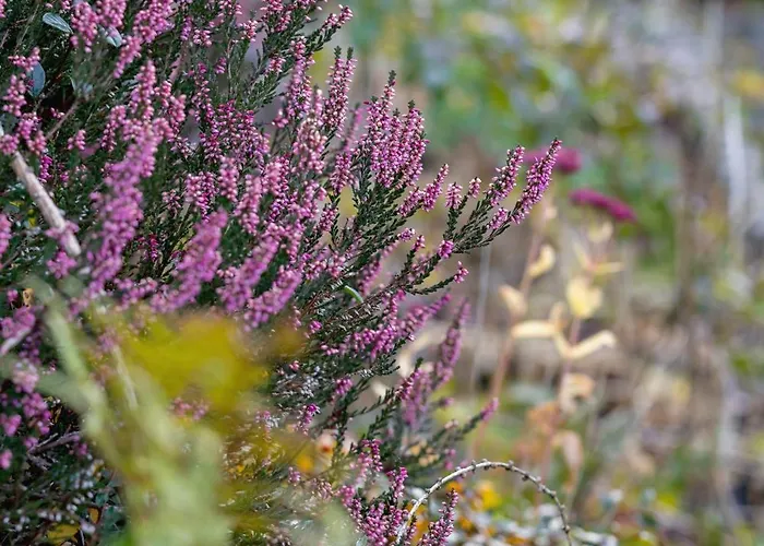 بيت للعطل Sarnia Hq Container House In With Garden And Air Conditioning By Renters بييلسكو بياوا